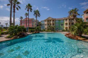 Palm trees near a swimming pool