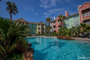 A swimming pool surrounded by palm trees